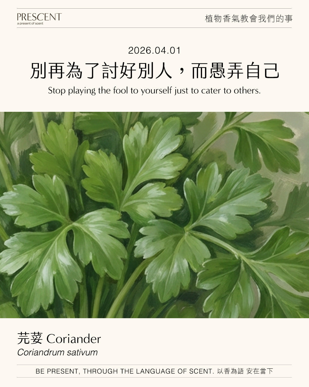 2026.04.01 ｜芫荽 Coriander