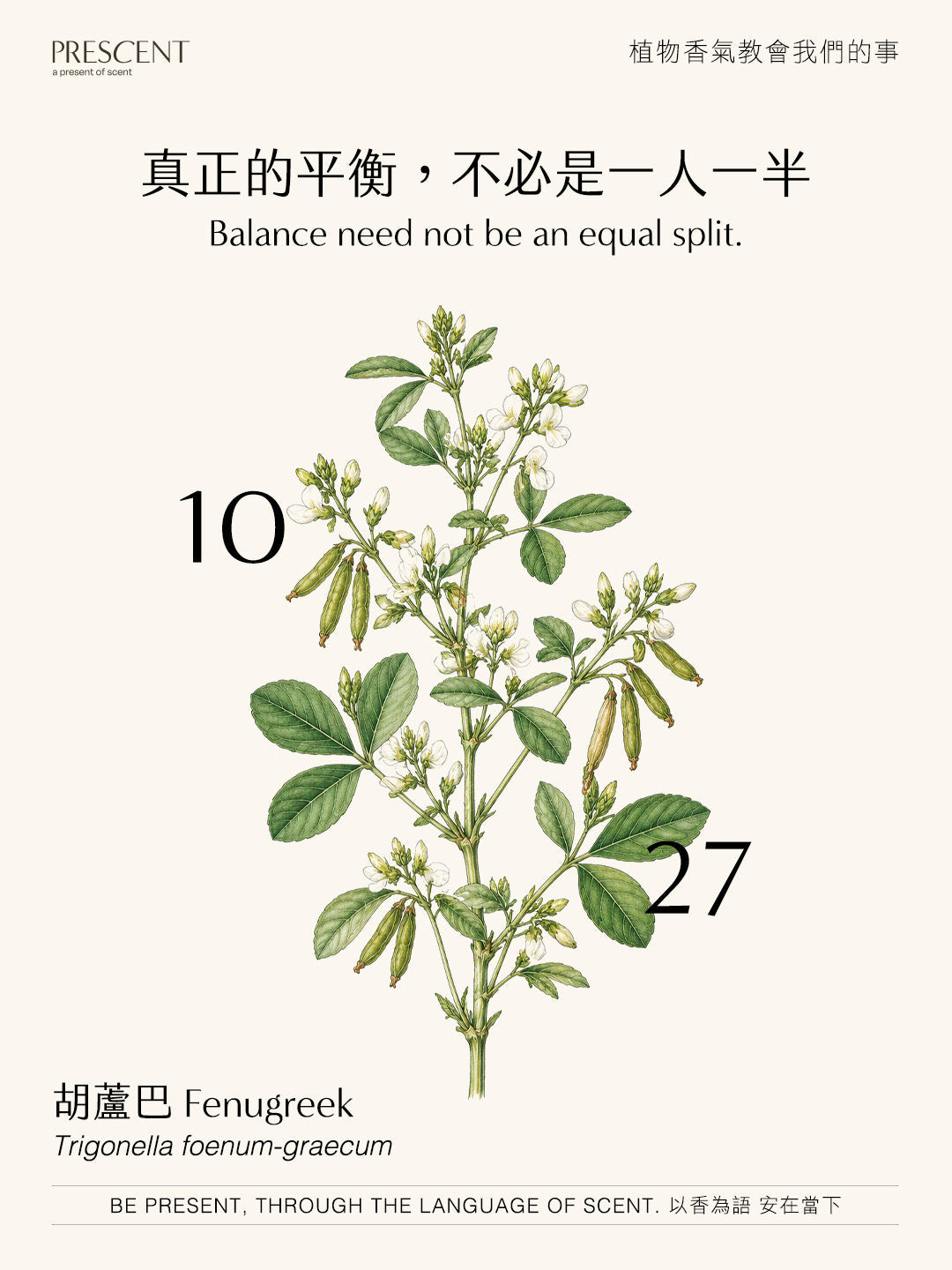 2026.10.27｜胡蘆巴 Fenugreek Absolute