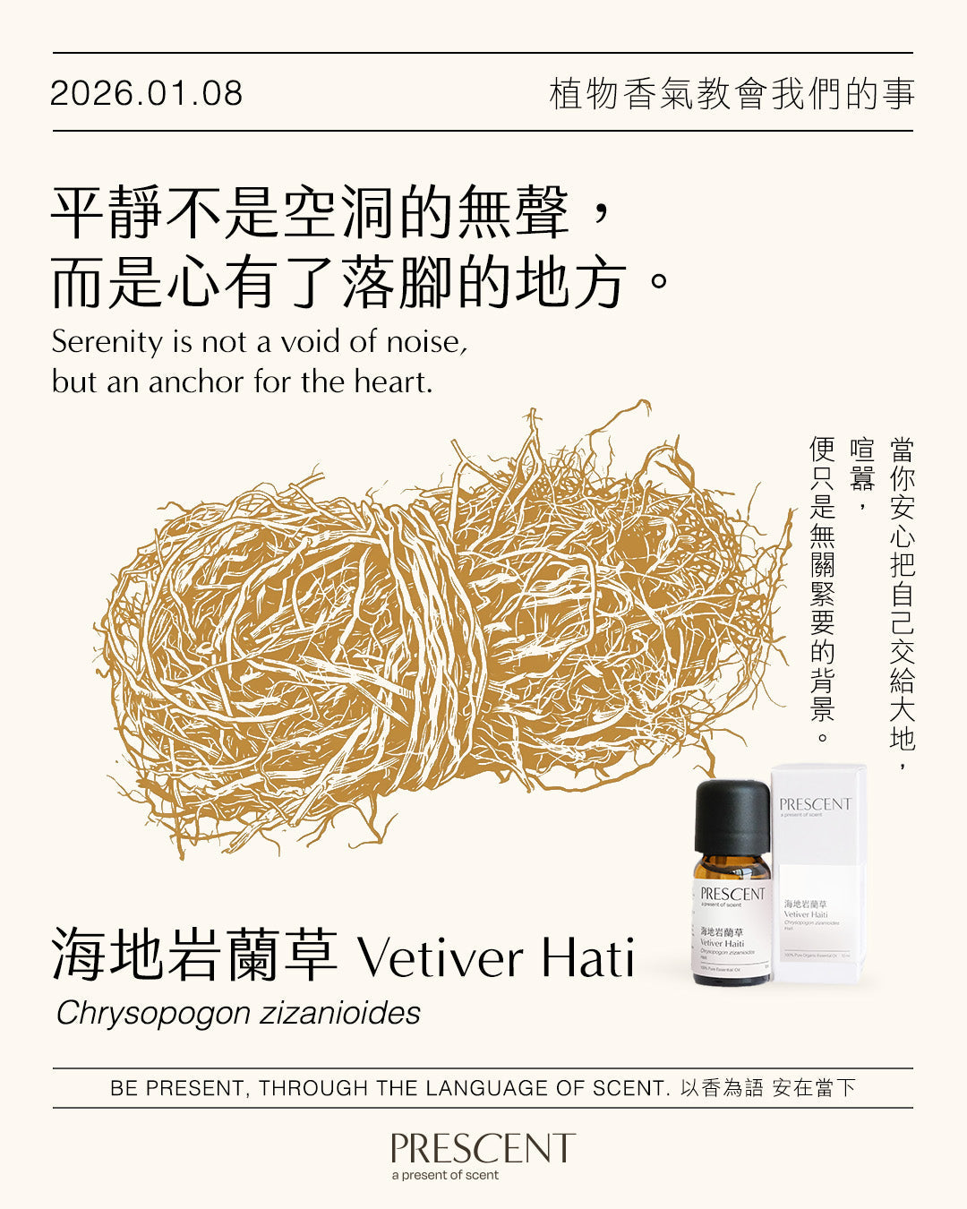 2026.01.08｜海地岩蘭草 Vetiver Hati