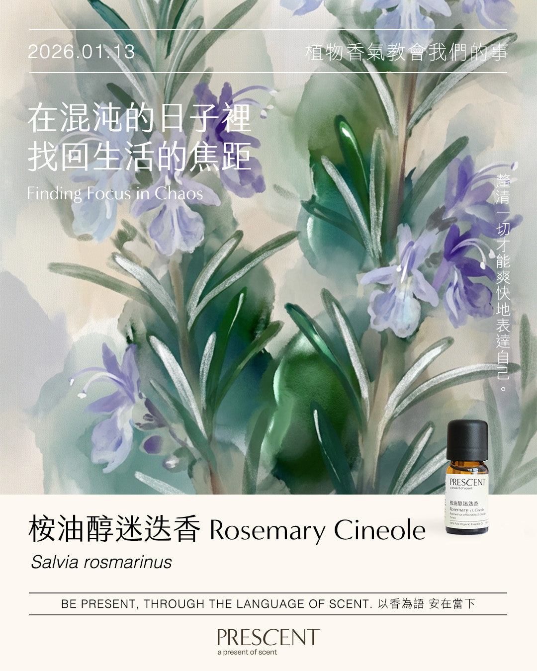 2026.01.13｜桉油醇迷迭香 Rosemary Cineole