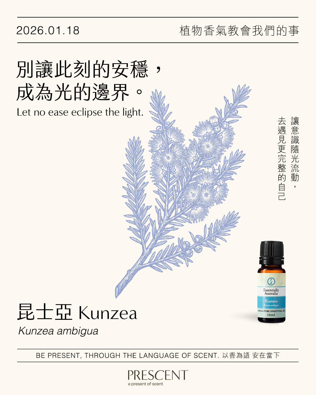 2026.01.18｜昆士亞 Kunzea