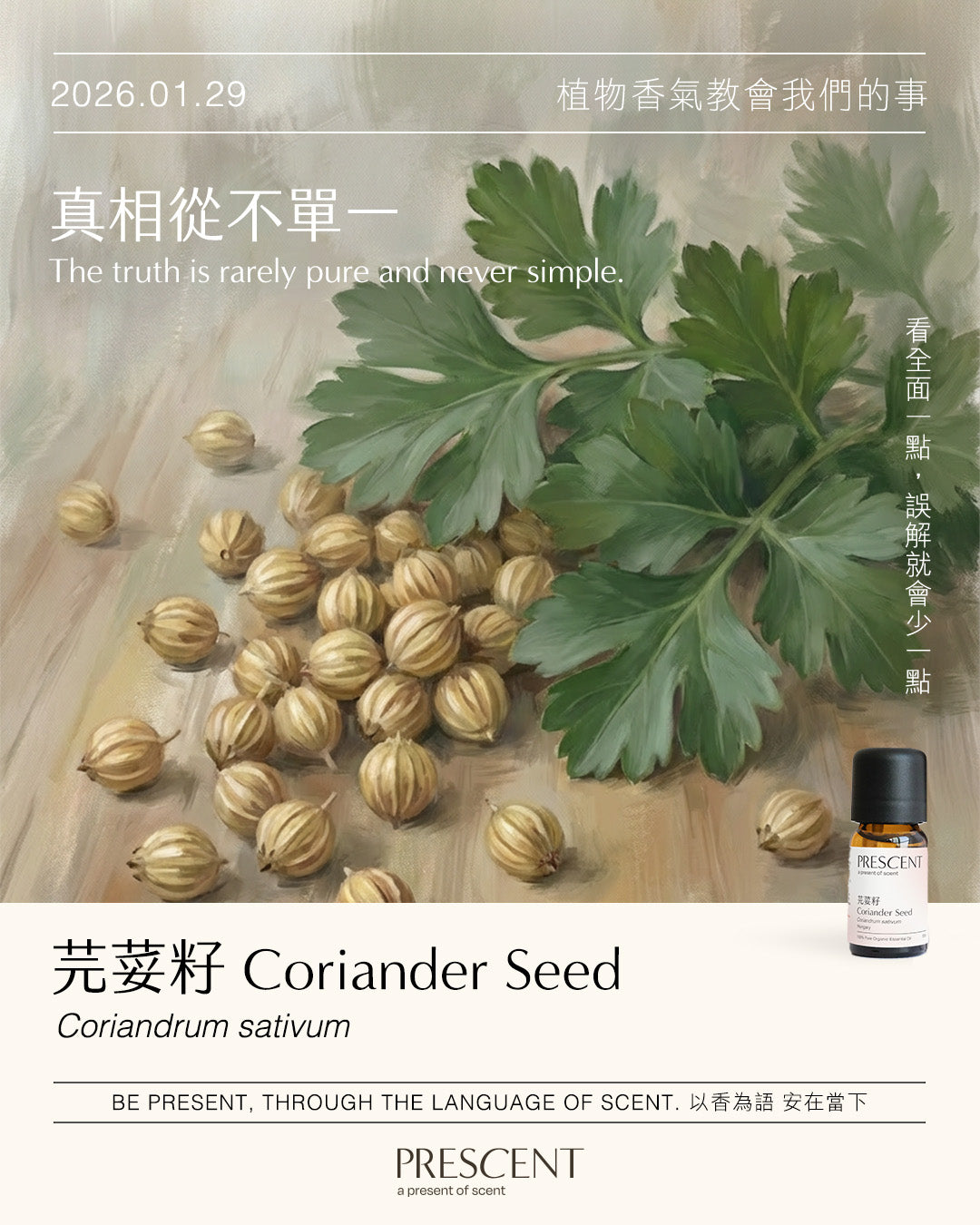 2026.01.29｜芫荽籽 Coriander Seed