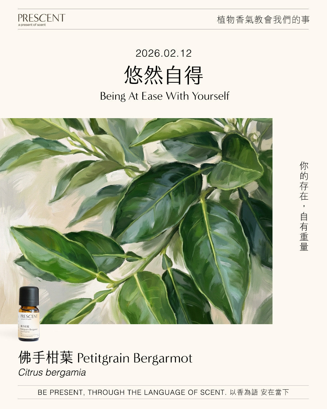 2026.02.12｜佛手柑葉 Petitgrain Bergamot