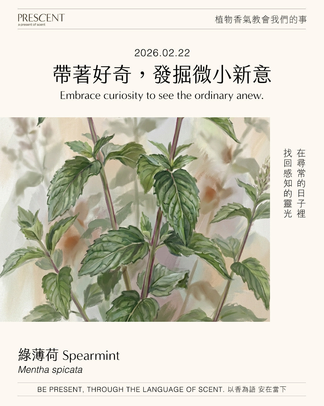 2026.02.22｜綠薄荷 Spearmint