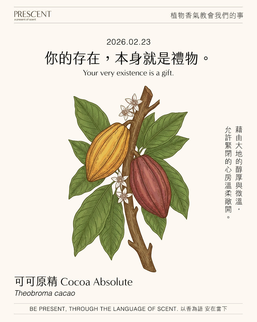 2026.02.23｜可可原精 Cocoa Absolute