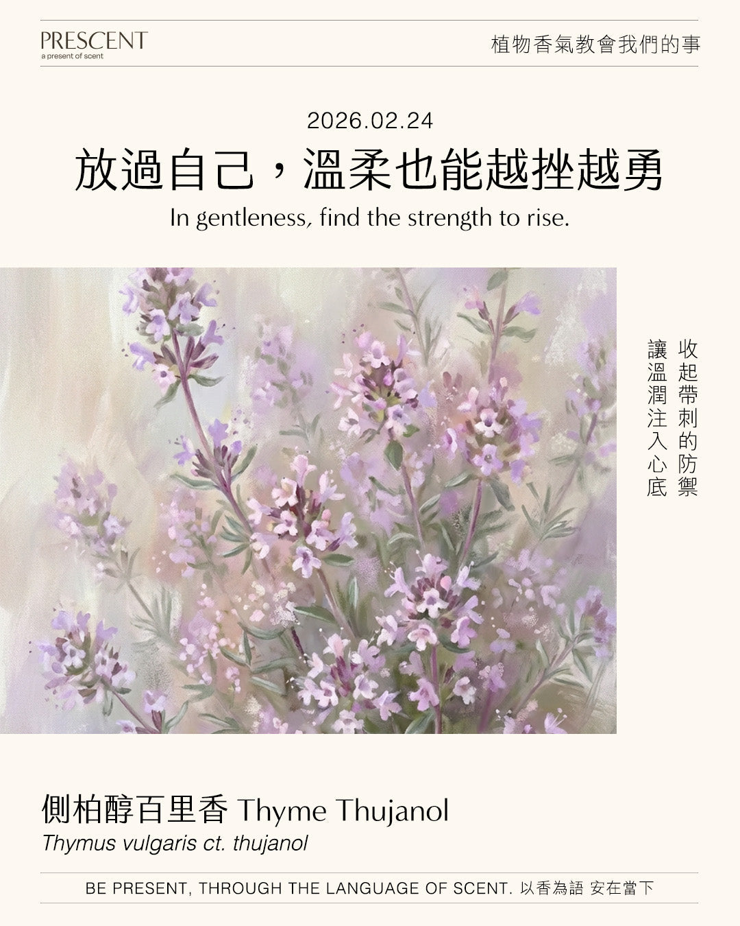 2026.02.24｜側柏醇百里香 Thyme Thujanol
