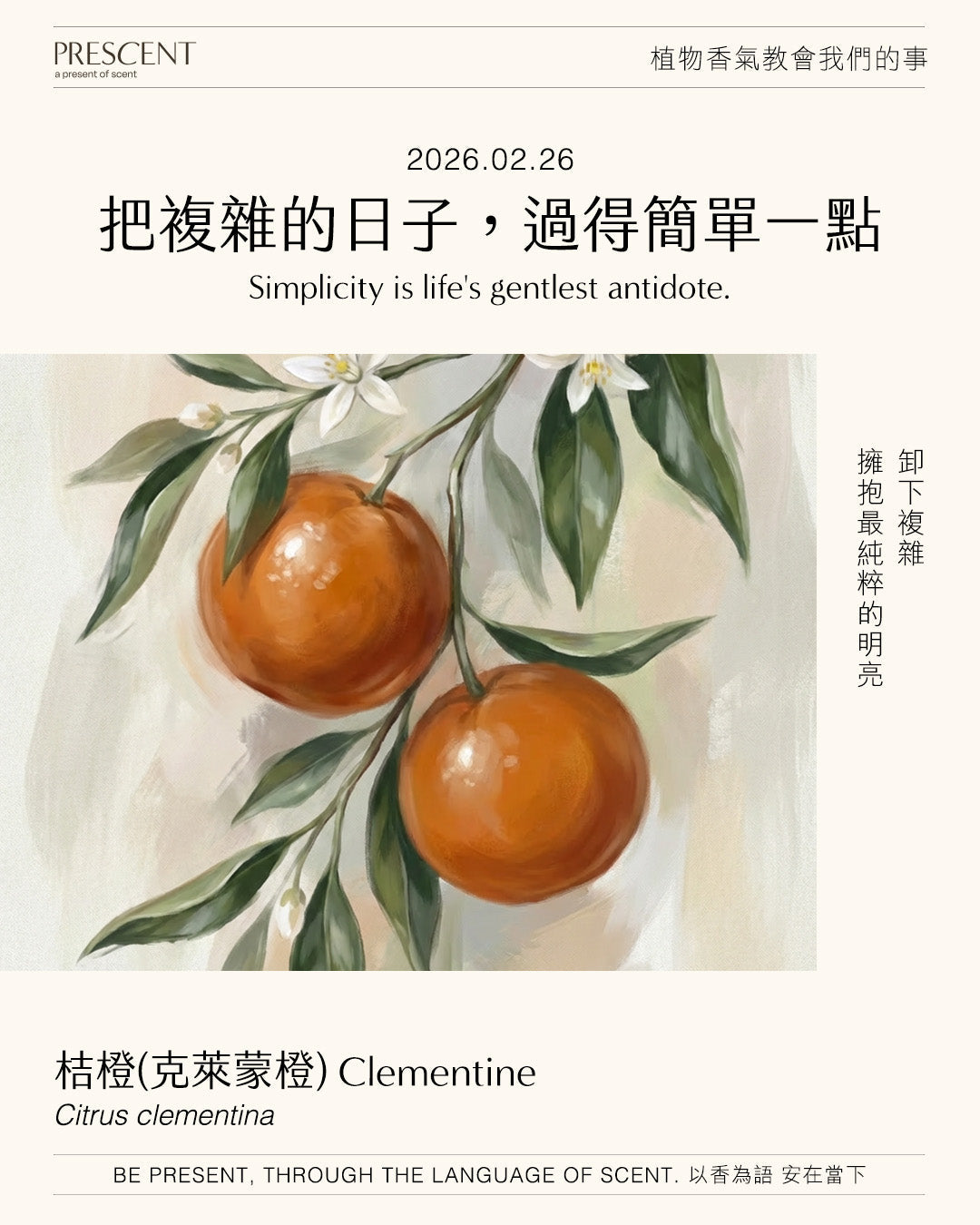 2026.02.26｜桔橙 Clementine