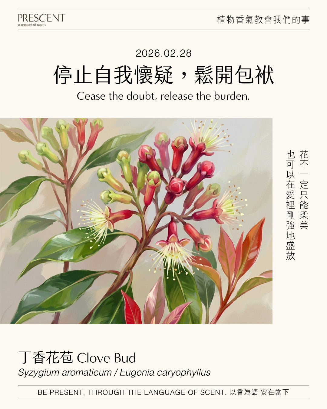 2026.02.28｜丁香花苞 Clove Bud