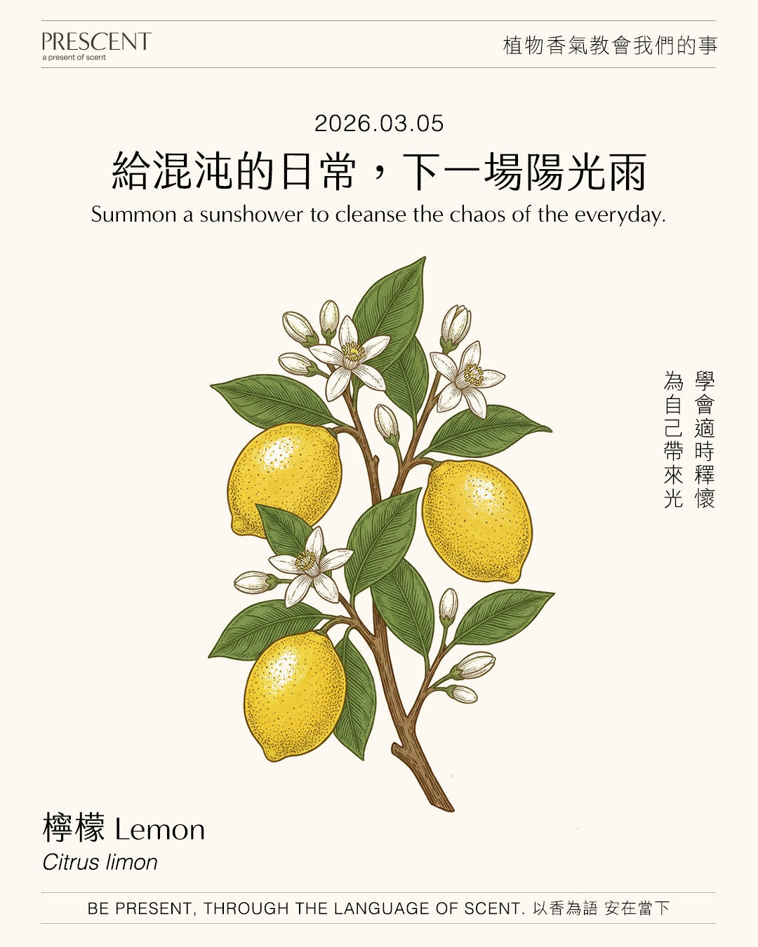 2026.03.05｜檸檬 Lemon