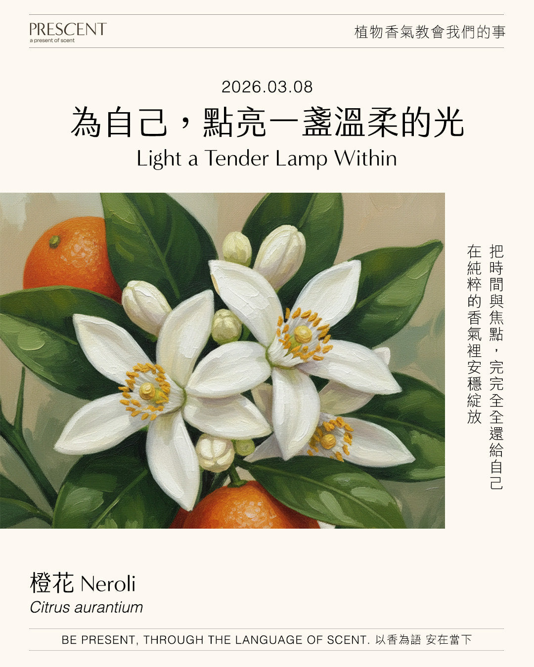 2026.03.08｜橙花 Neroli