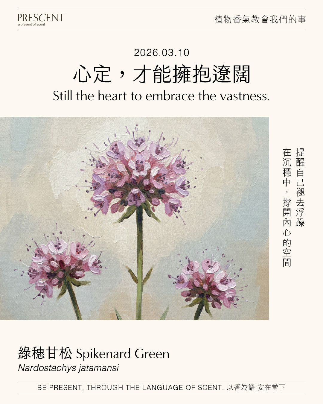 2026.03.10｜綠穗甘松 Spikenard