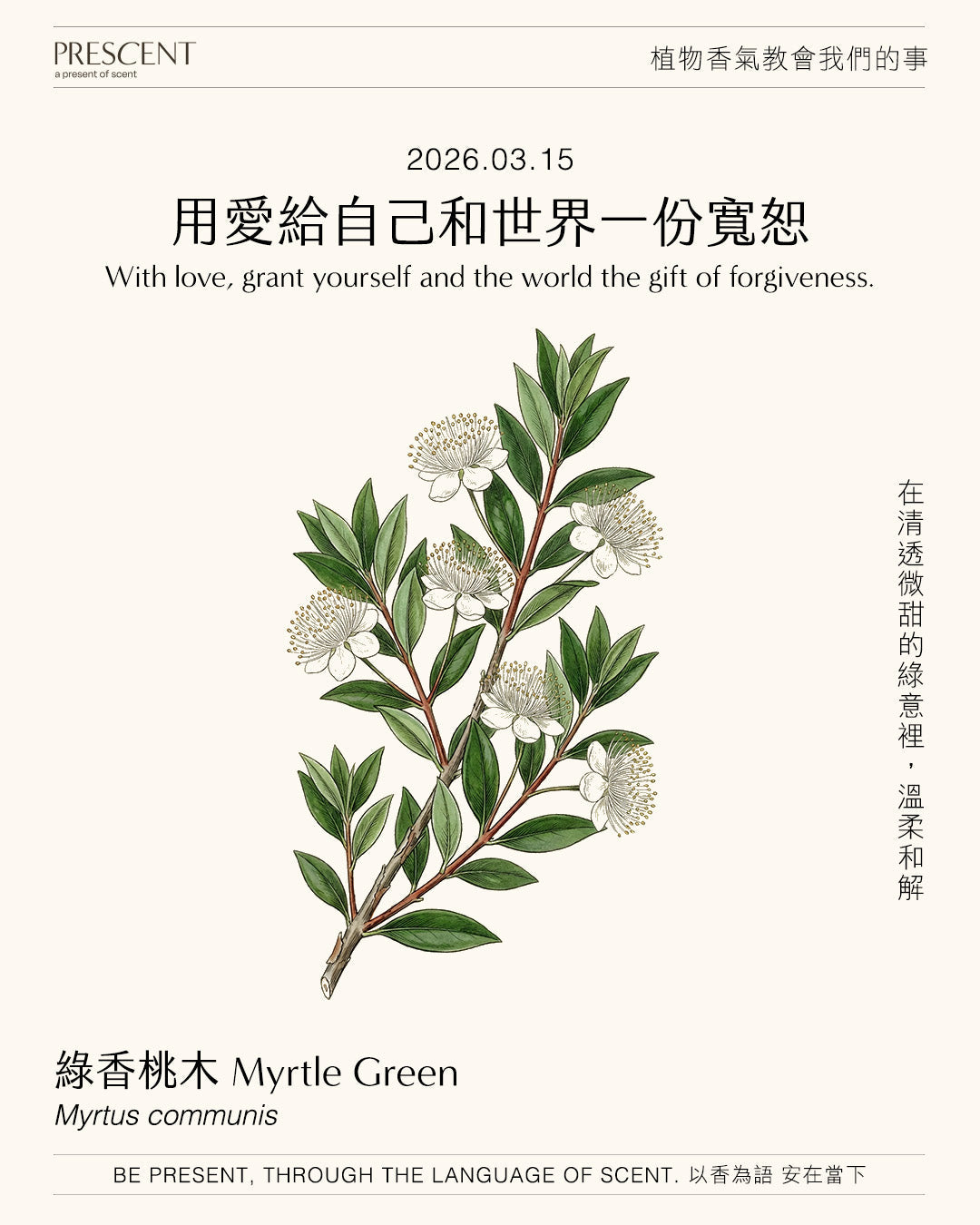 2026.03.15｜香桃木 Myrtle Green