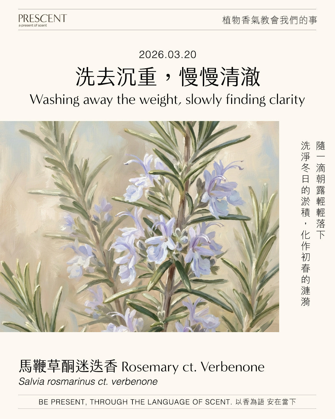 2026.03.20｜馬鞭草酮迷迭香 Rosemary ct. Verbenone