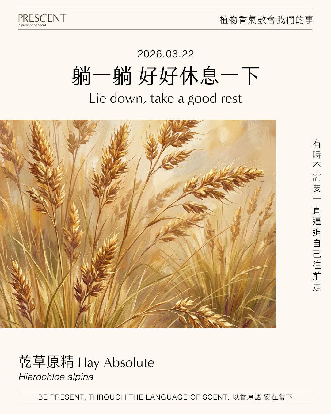 2026.03.22｜乾草原精 Hay Absolute