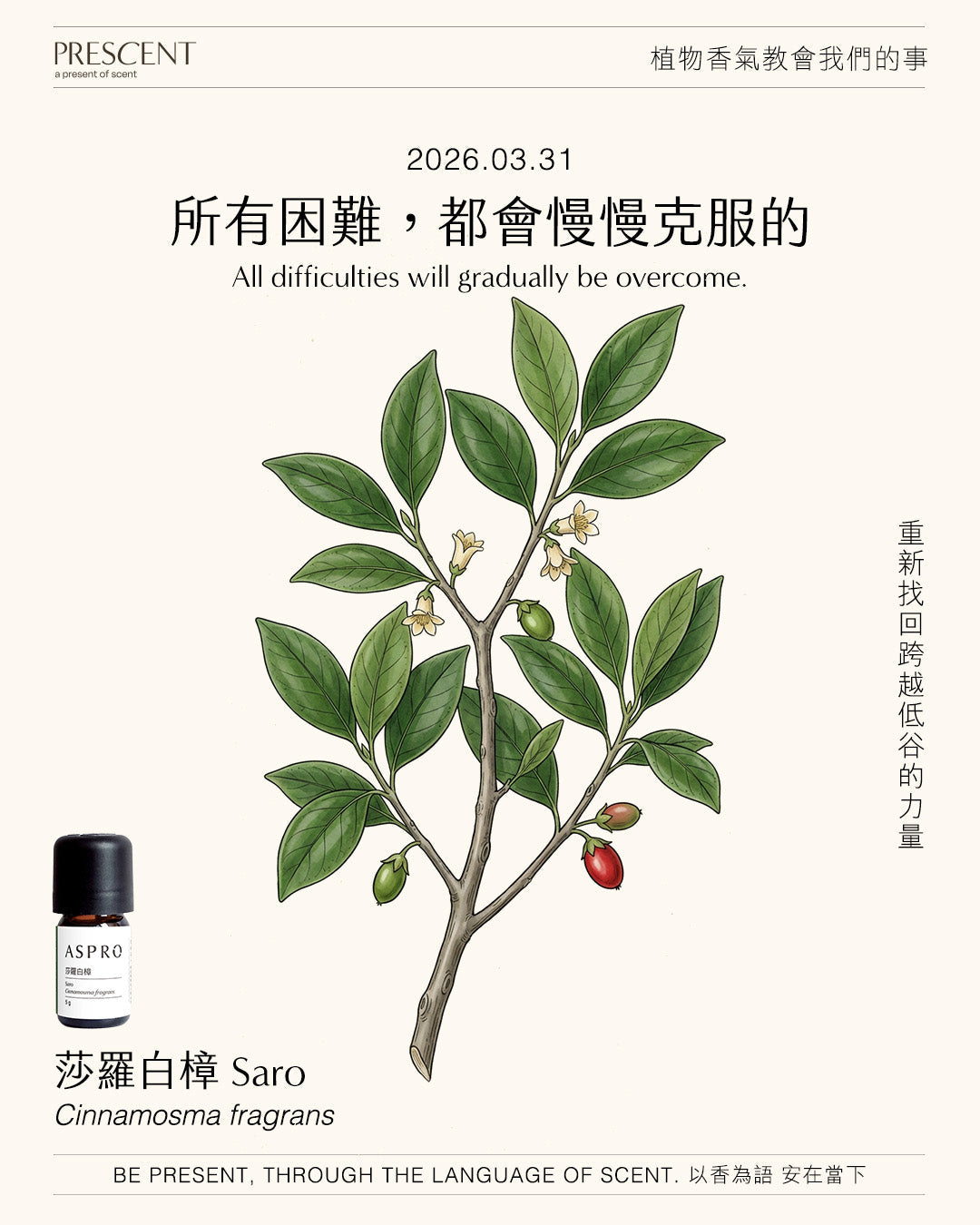 2026.03.30｜葡萄柚 Grapefruit