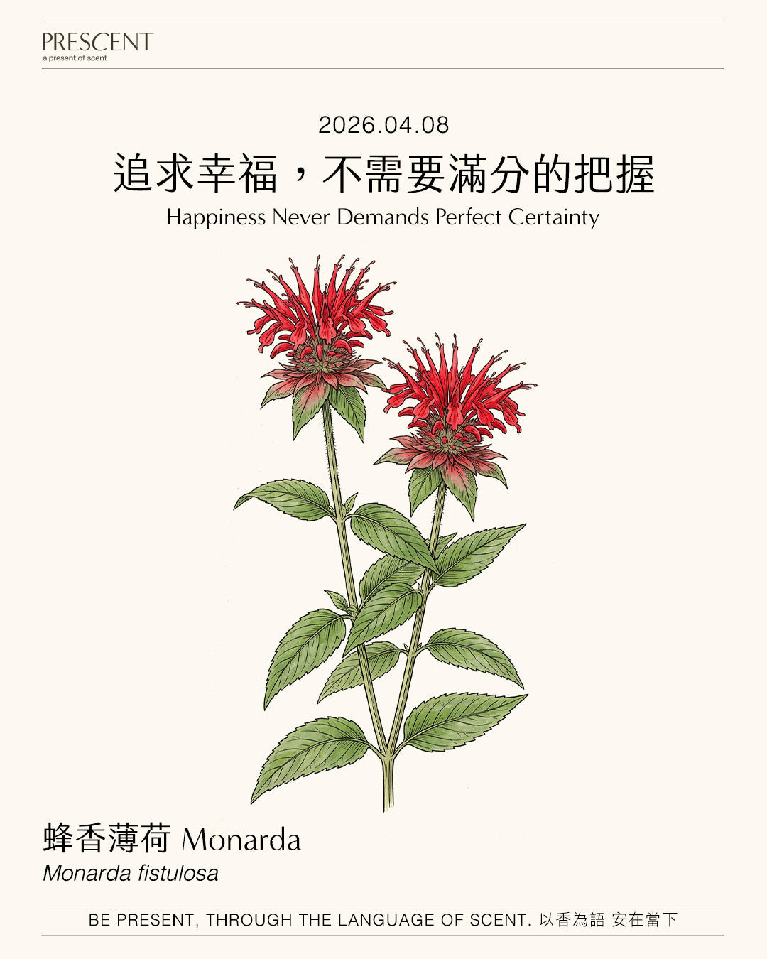2026.04.08｜蜂香薄荷 Monarde