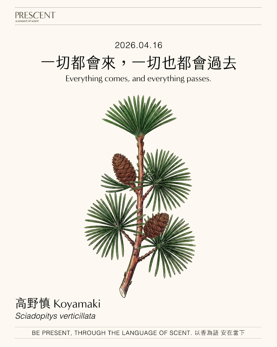 2026.04.16｜高野慎 Koyamaki