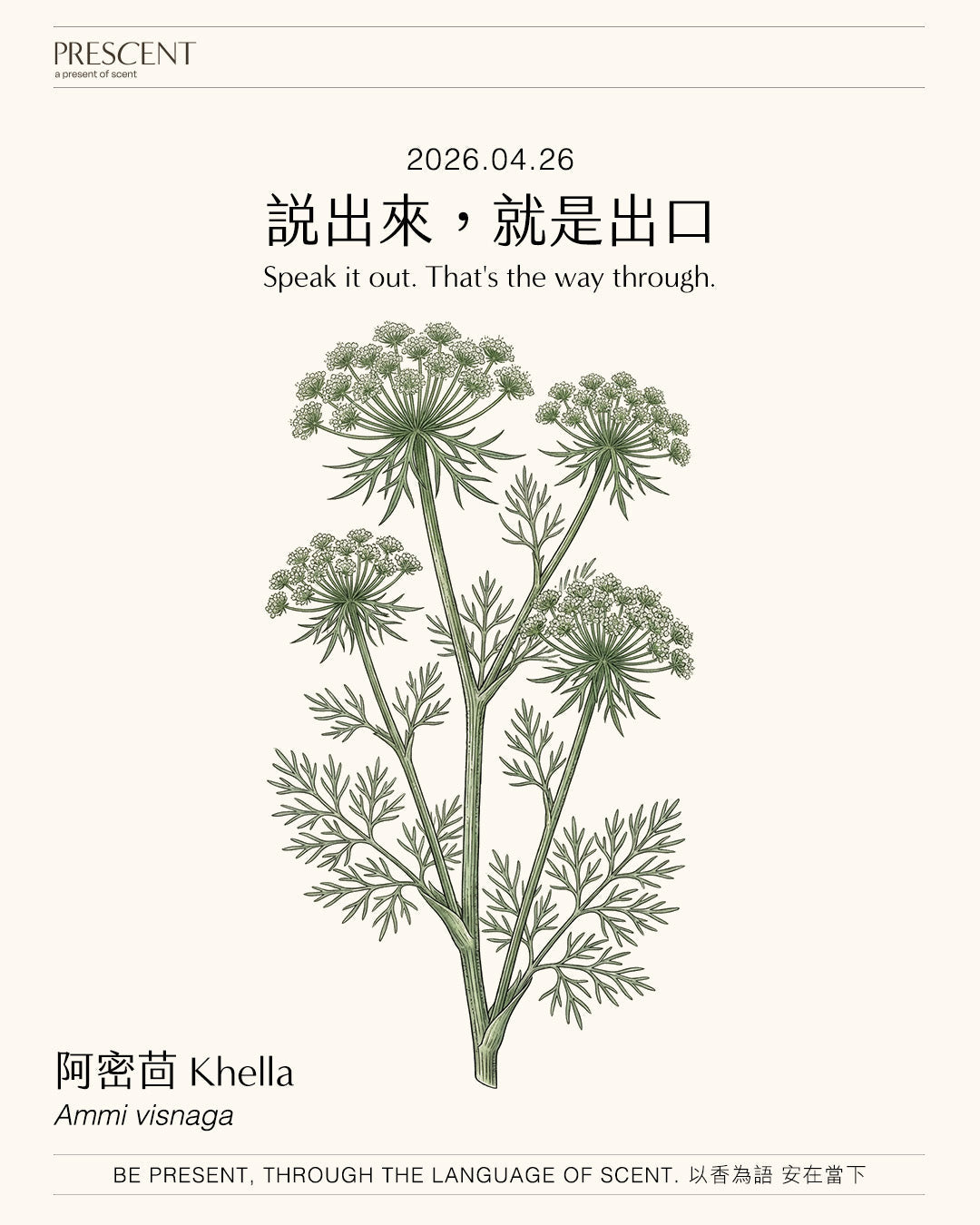 2026.04.26｜阿密茴 Khella