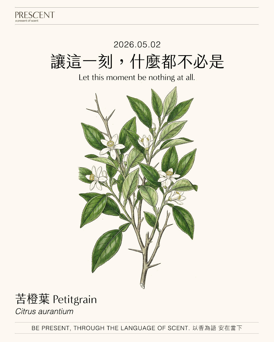 2026.05.02｜苦橙葉 Petitgrain