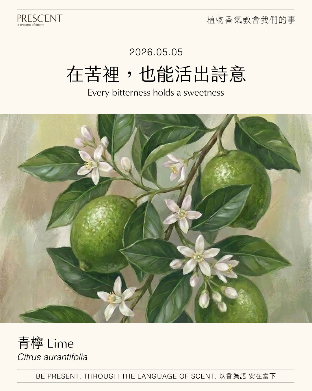 2026.05.05｜青檸 Lime