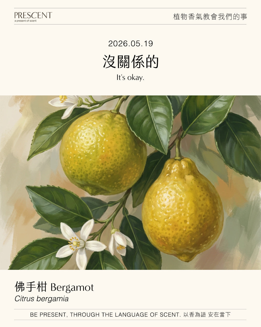 2026.05.19｜佛手柑 Bergamot