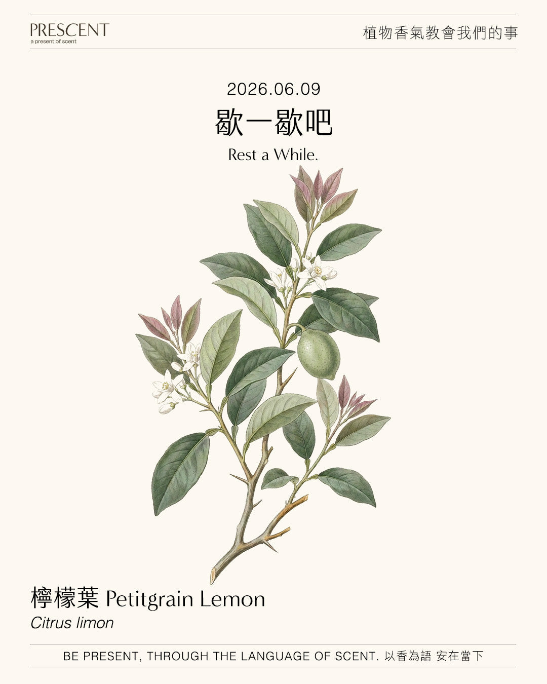 2026.06.09｜檸檬葉 Petitgrain Lemon