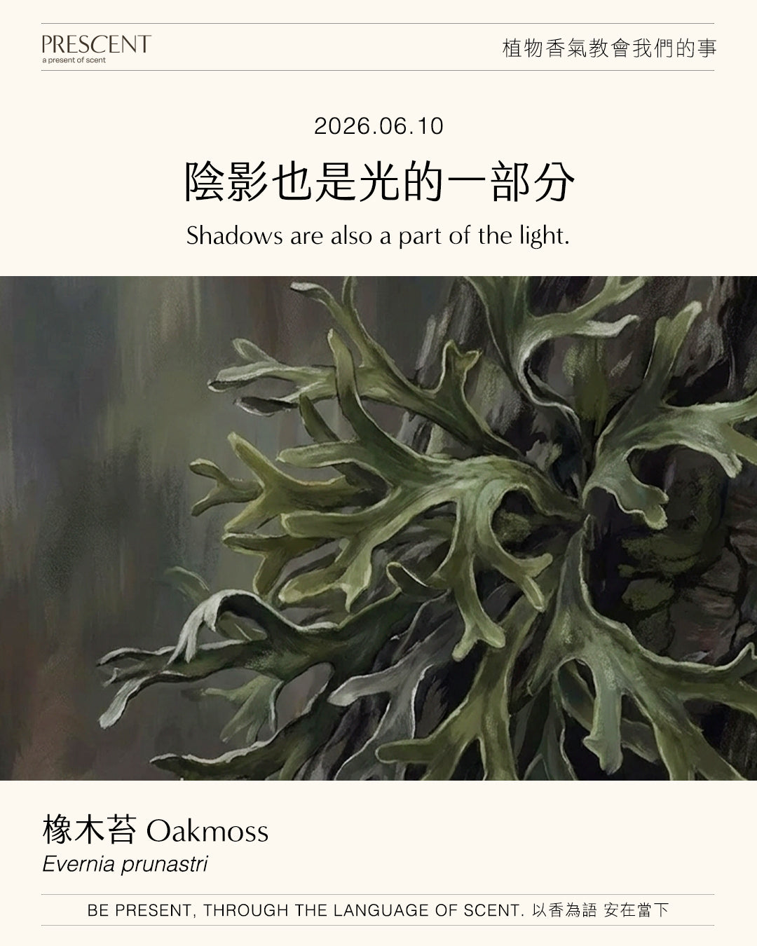 2026.06.10｜橡木苔 Oakmoss