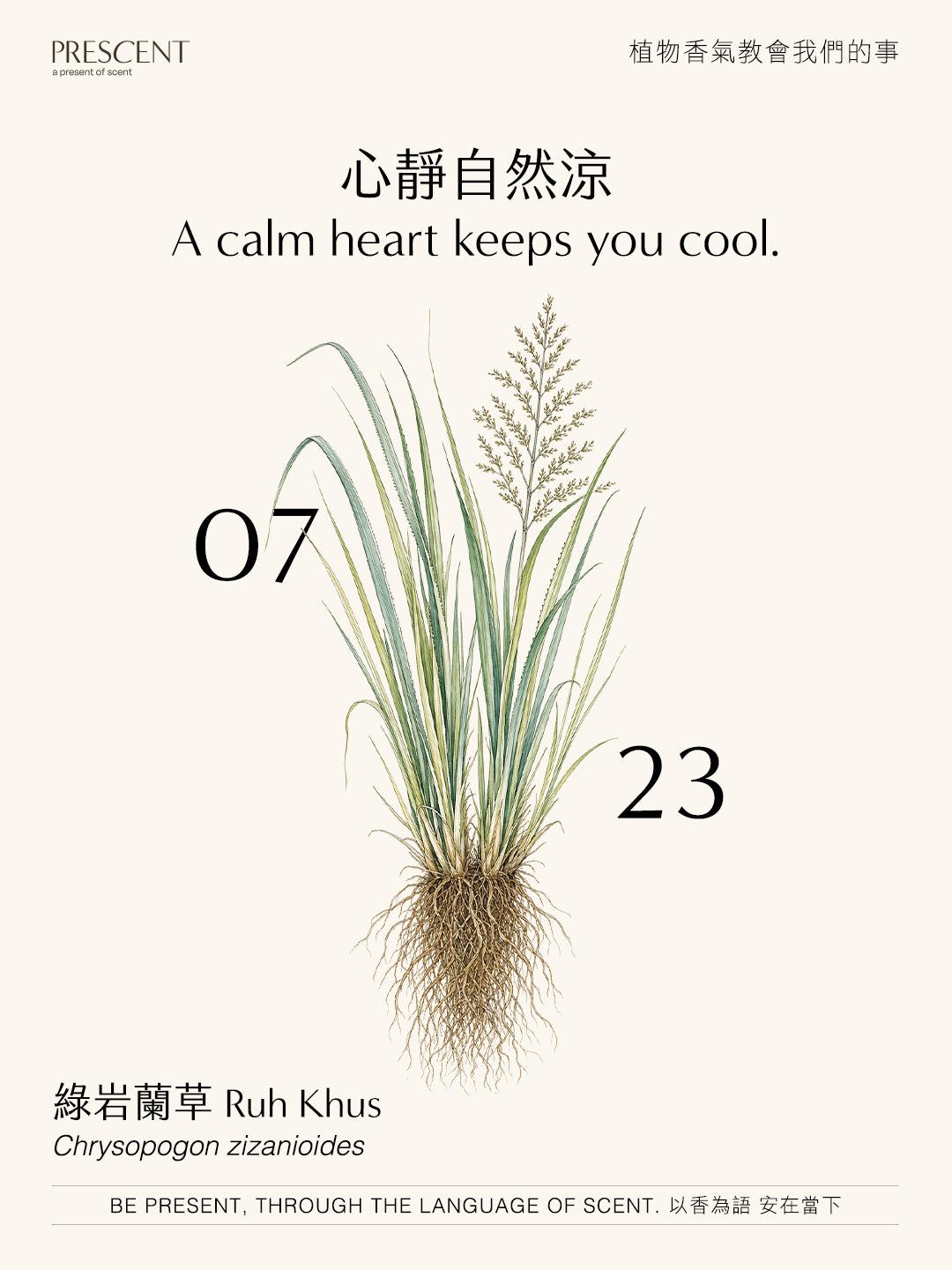 2026.07.23｜綠岩蘭草 Vetiver Green (Ruh Khus)
