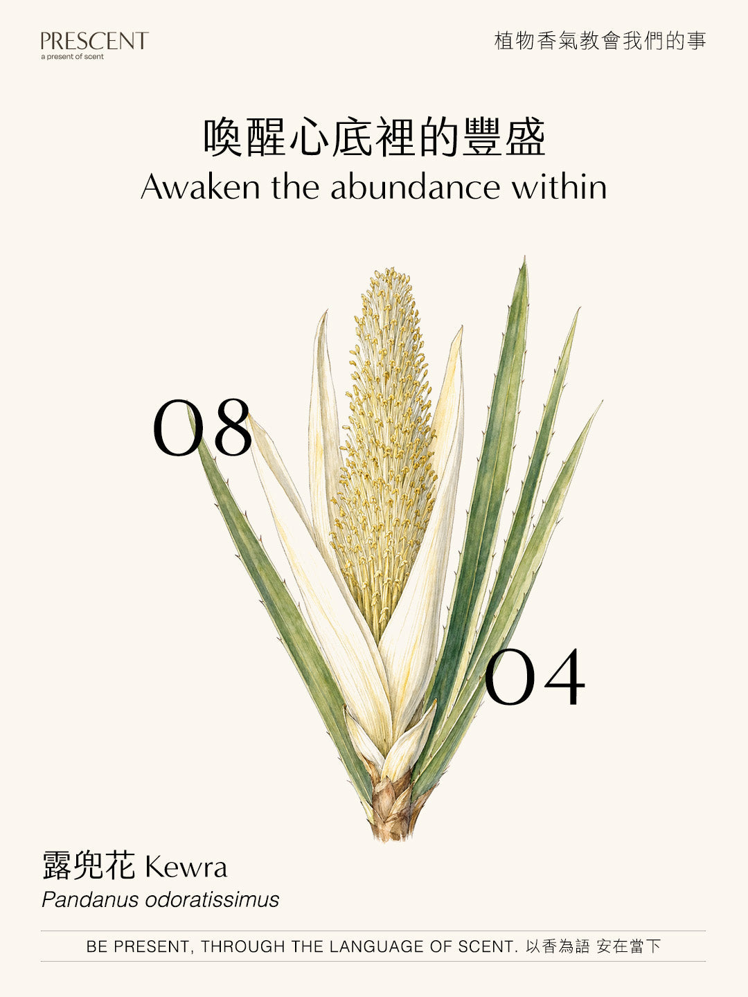 2026.08.04｜露兜花 Kewra