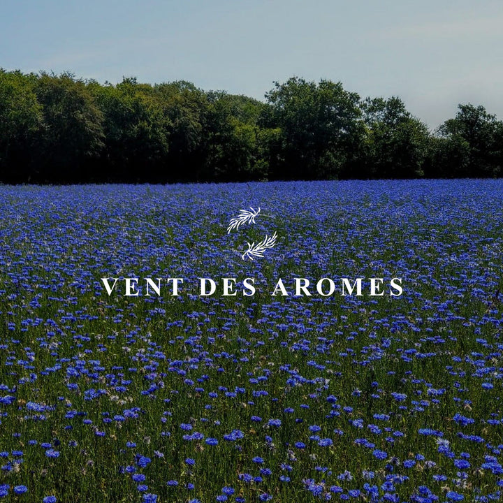 VENT DES AROMES