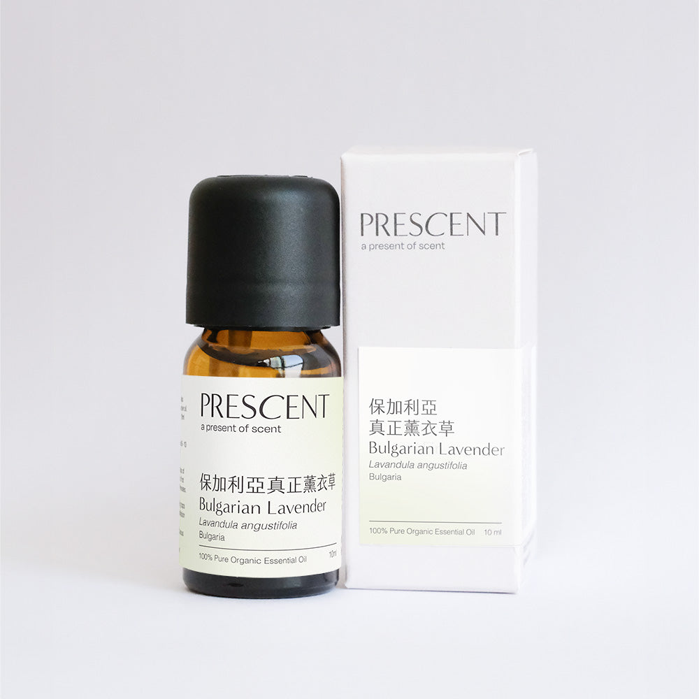 保加利亞真正薰衣草