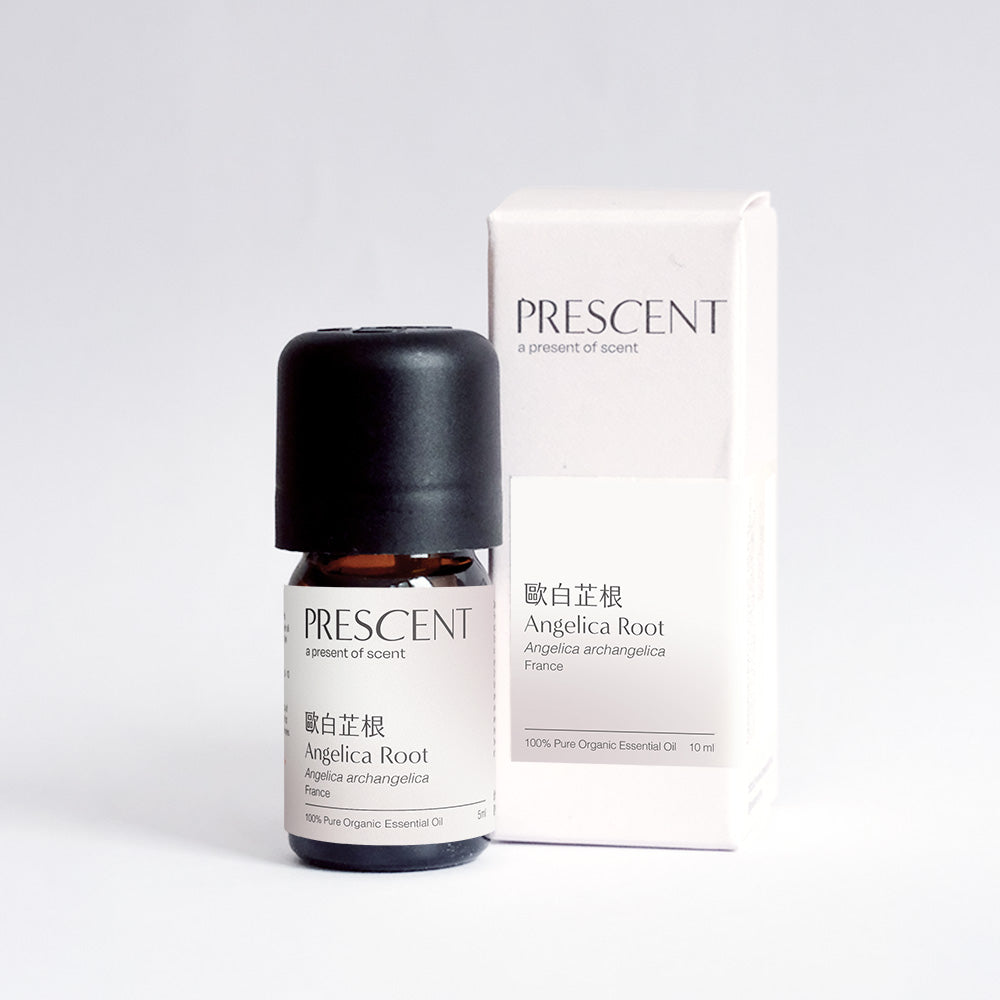 Angelica Root Organic Essential Oil