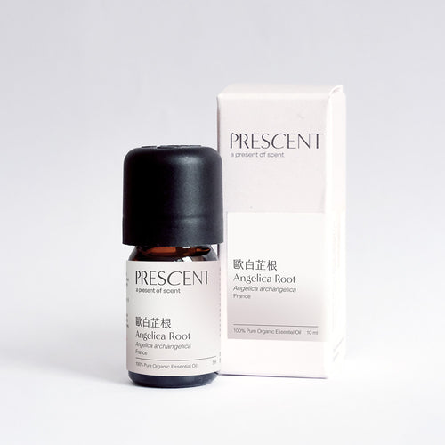 Angelica Root Organic Essential Oil