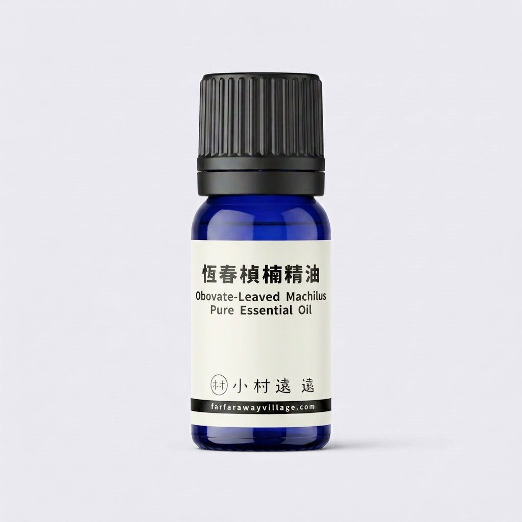 恆春楨楠